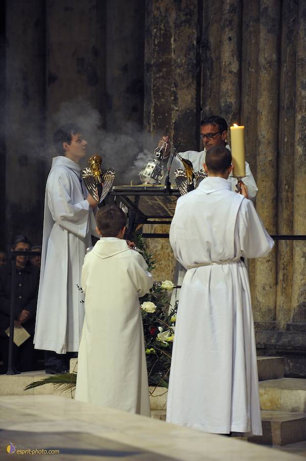 Nom de l'image : D30050231_1_(c)Norbert-JUNG — Description :